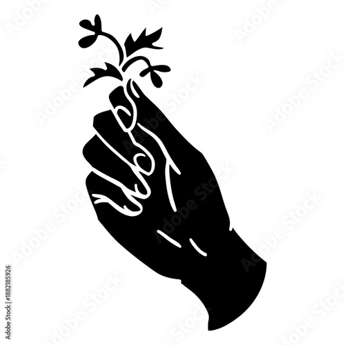 Grabbing tiny plant black