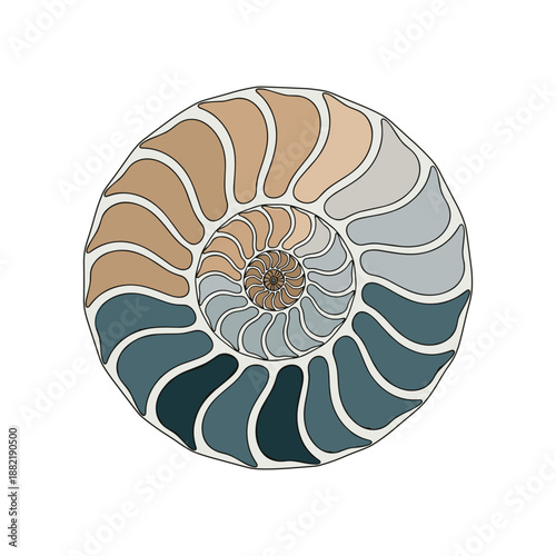 Intricate spiral design of a nautilus shell with soft color gradients on a white background