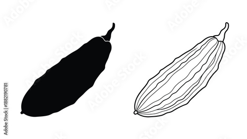 Cocoa pod illustration with contrasting lines and a dark silhouette