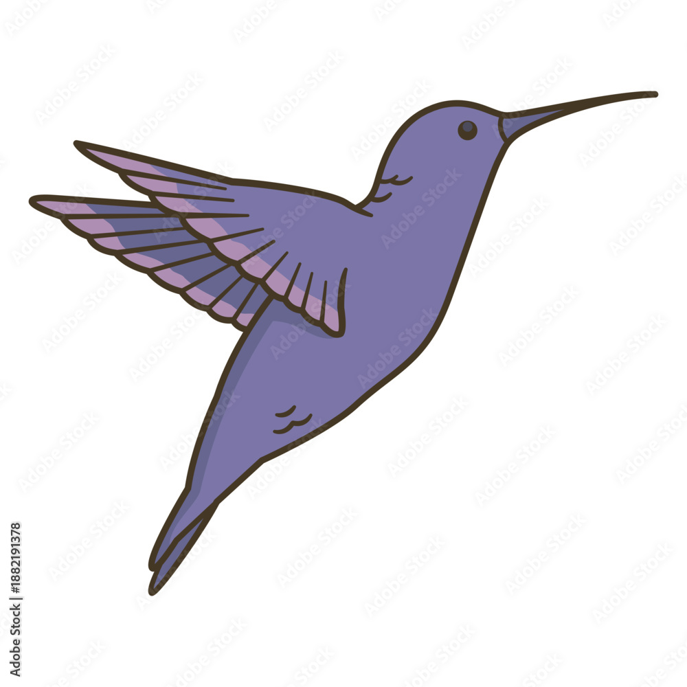 Obraz premium Animal hummingbird illustration