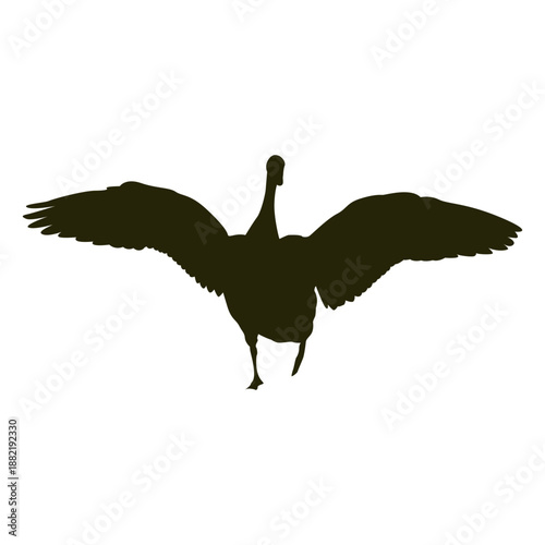 Hunting goose front wings spread