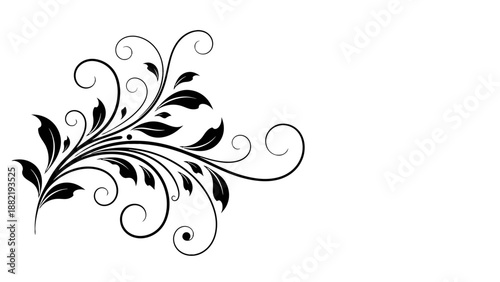 Elegant black floral design with swirling leaves and vines.