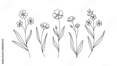 Simple black and white line drawings of various flowers and leaves.