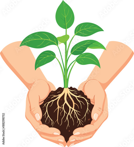 Hands Holding Plant Roots During Repotting Highlighting Careful Gardening and Healthy Plant Growth