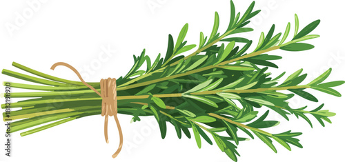 Fresh Herb Bundle Tied with String Highlighting Organic Ingredients and Culinary Preparation