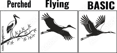 Stork Flying and Perched Bird Silhouettes in Clean Black Minimal Vector Style