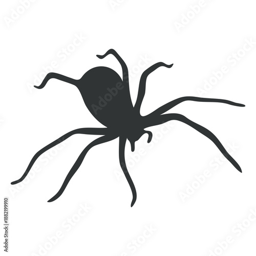 Canvastavla House spider arachnid silhouette