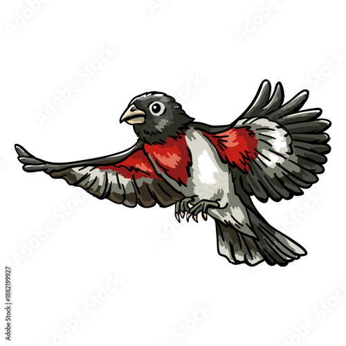 Realistic hand drawn rose throated grosbeak flying