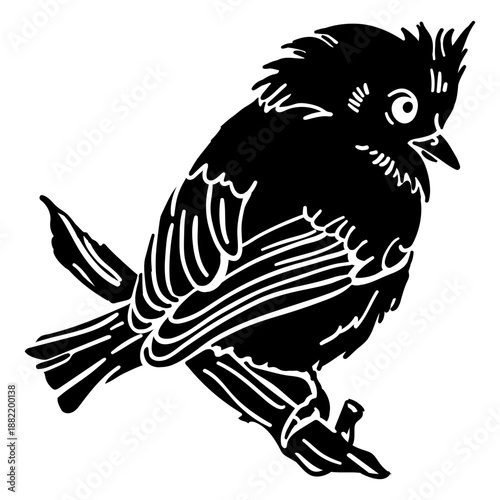 Realistic hand drawn bird perching black