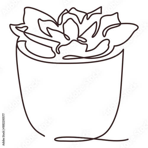 Succulent plant pot line drawing succulent