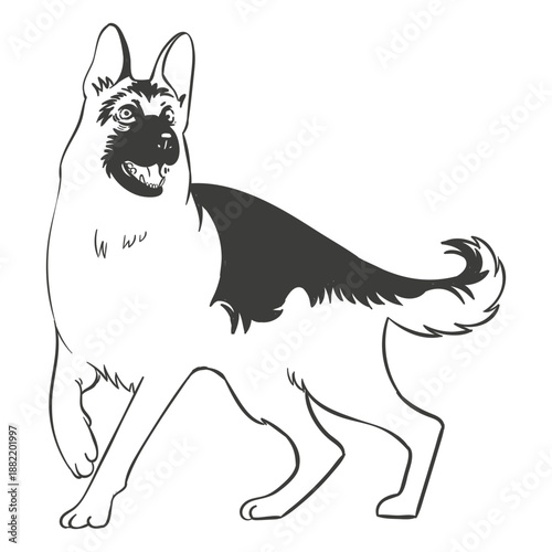 German shepherd dog hand drawn dog