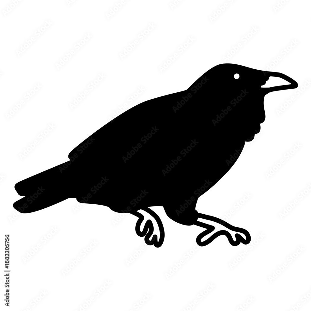 Fototapeta premium Crow wild bird