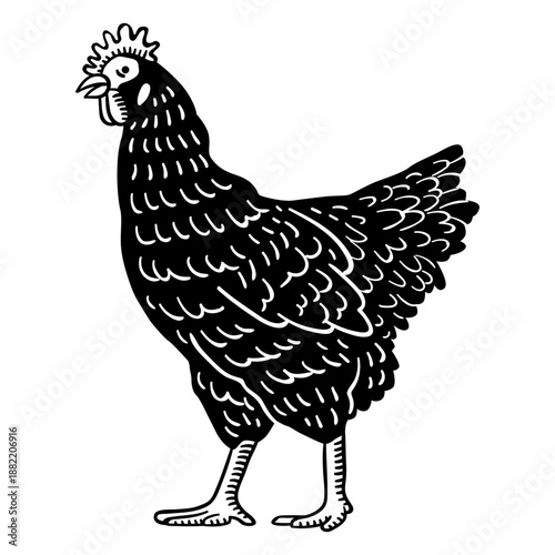 Rooster animal farm