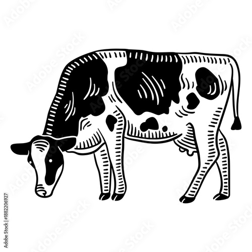 Cow farm animal hand-drawn