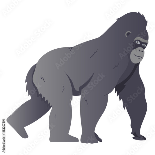 Gorilla monkey species illustration