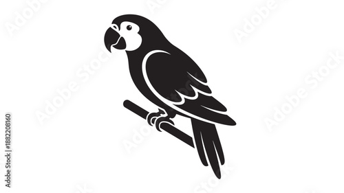 Parrot Illustration in Minimalist Style with High Contrast Black and White for Wildlife Conservation