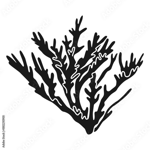 Coral reef sea plant