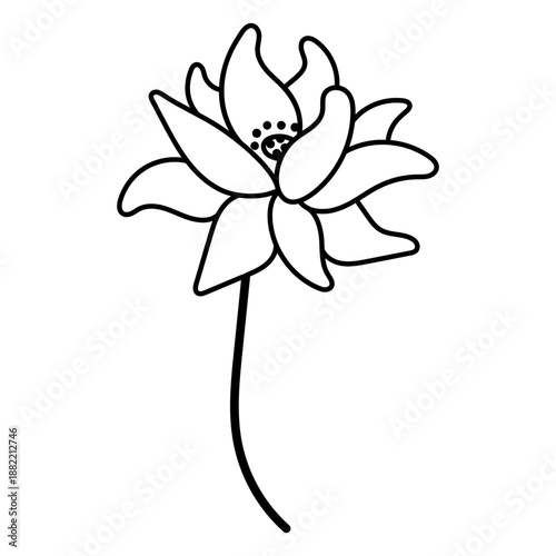 Narcissus flower stroke