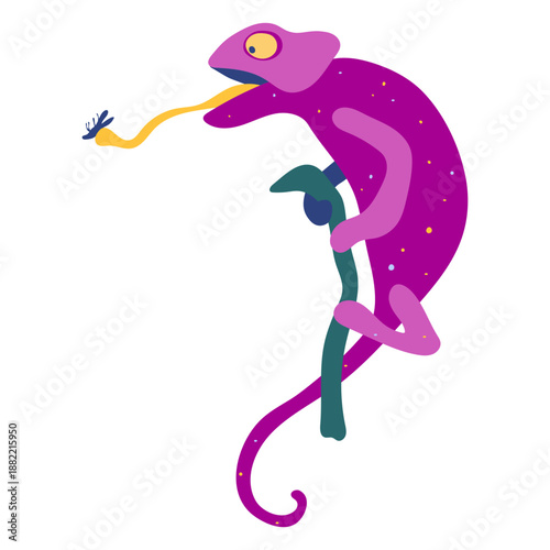 Pink chameleon animal