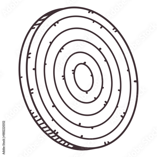 Archery sport arrow target