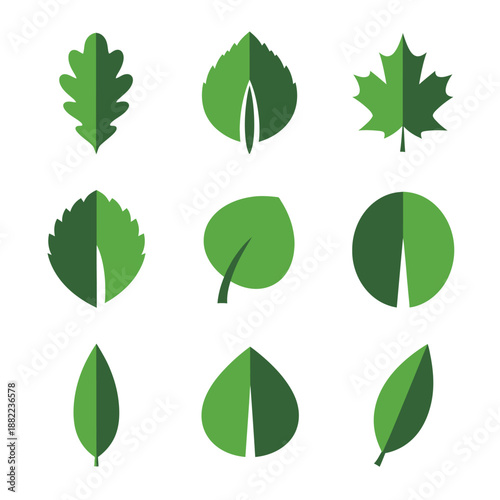 Collection of nine stylized green leaves with varying shapes and veins