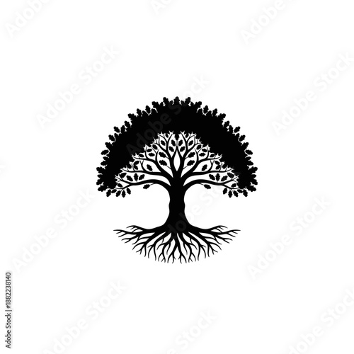 Silhouette of a majestic tree with intricate branches and extensive roots