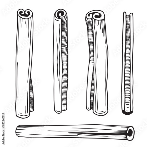 Hand-drawn graphic illustration of cinnamon sticks, detailed black and white sketch