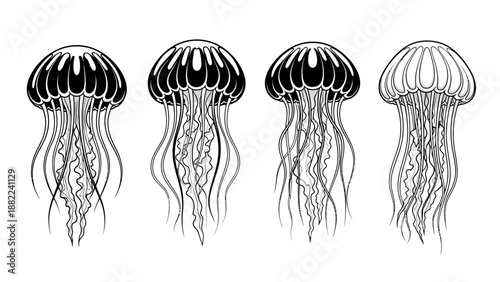 Four black and white jellyfish illustrations with varying tentacle details on white background