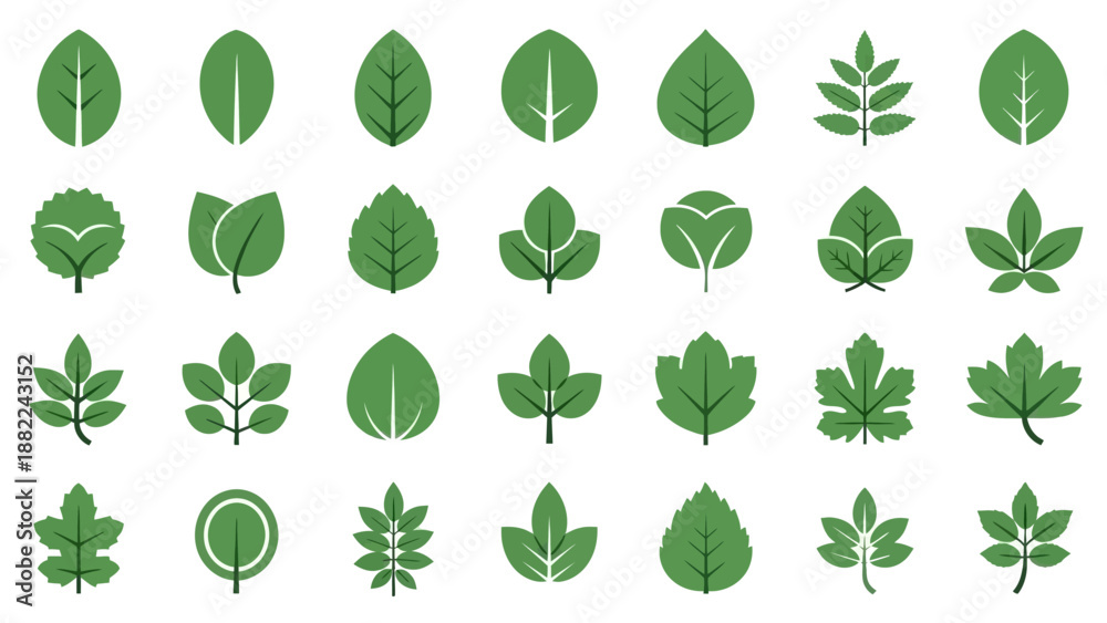 Fototapeta premium Collection of green leaf icons diverse botanical illustrations for design