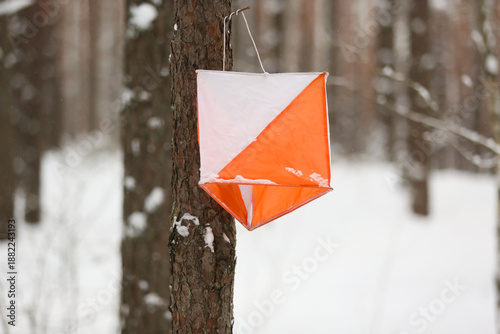 Winter orienteering control point mounted on a tree in a snowy forest, navigation sport and outdoor competition concept