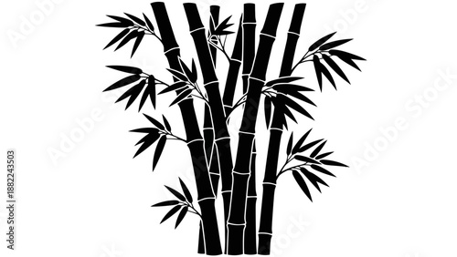 Black and white bamboo silhouette against a clean white background