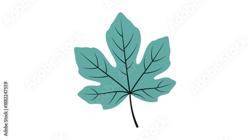 Illustration of a stylized teal leaf with black veins on a white background from a direct viewpoint