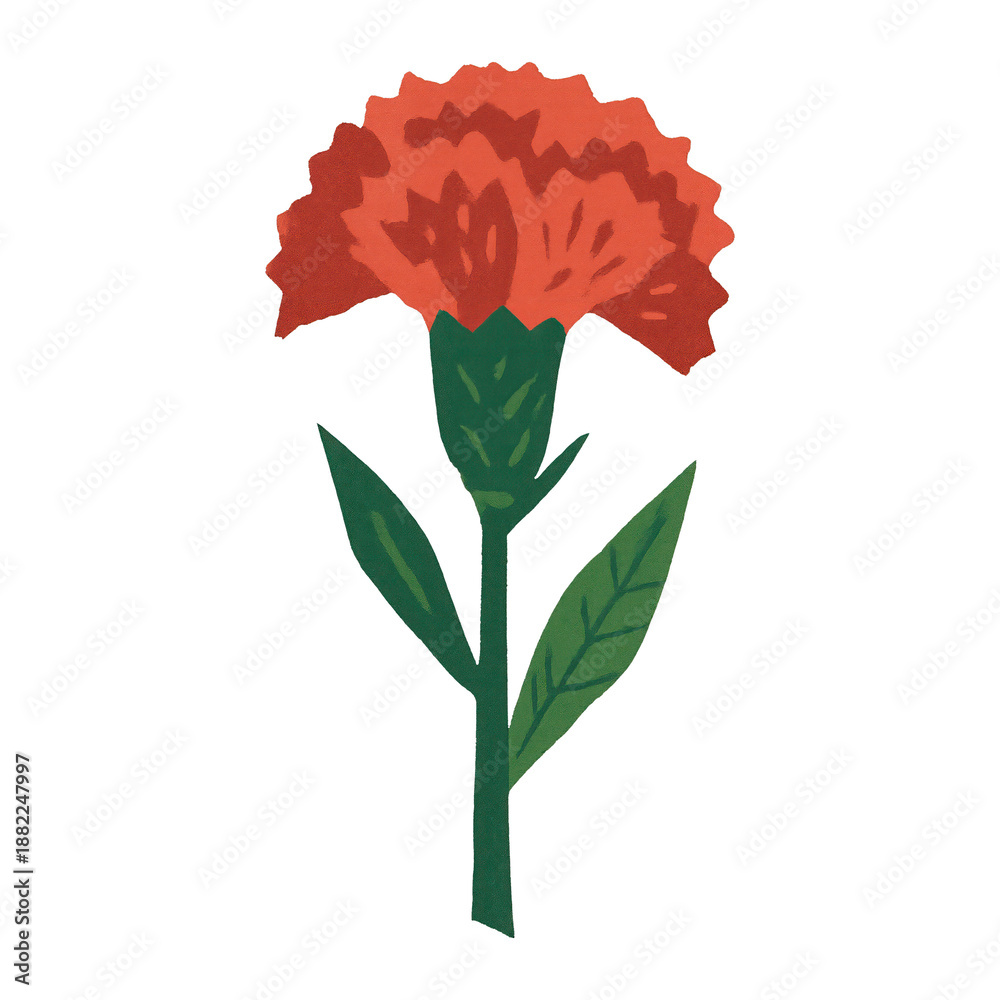 Fototapeta premium PNG Vibrant red carnation illustration