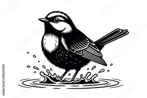A black and white illustration of a small bird standing in water with droplets