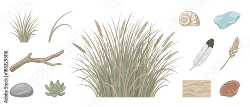 Collection of illustrated natural coastal elements including dune grass, seashells, a feather, a stone, sea glass, a succulent, and a branch in a calm, earthy color palette