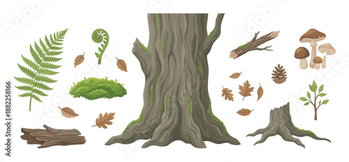 Collection of forest and woodland elements including a tree trunk, fern, mushrooms, leaves, and a stump, illustrated in a charming cartoon style for nature-themed projects