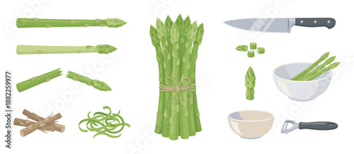 Collection of green asparagus illustrations showing the preparation process with a bunch, spears, chopped pieces, a knife, and a peeler in a flat vector cartoon style