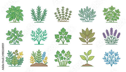 Collection of culinary herb and plant icons in a cute cartoon line art style, featuring basil, rosemary, mint, and lavender for gardening or organic cooking concepts