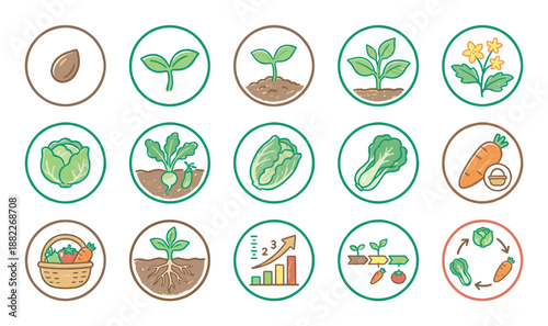 Collection of plant growth and farming icons showing the life cycle from seed to harvest with vegetables, sprouts, and agricultural process diagrams in a simple line art illustration style