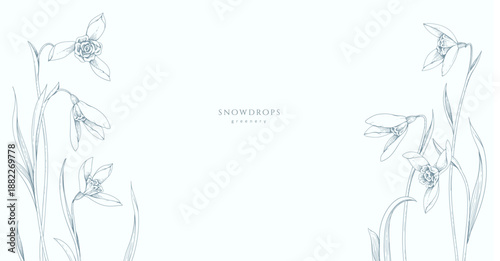 Spring background with snowdrops flowers. Detailed botanic floral collection for Valentines day invitation, wallpaper art