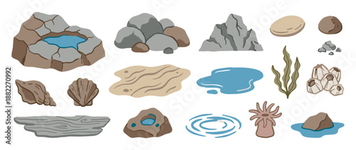Set of tide pool and shoreline illustrations featuring various rocks, water puddles, seashells, algae, a sea anemone, and driftwood in a simple, clean, hand-drawn vector style