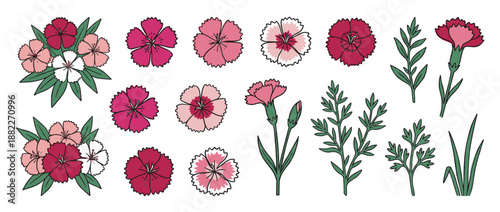 Collection of hand-drawn carnation flower illustrations in a doodle art style, featuring various pink, red, and white blossoms, bouquets, stems, and leaves for design elements