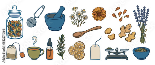 Set of colorful herbalism illustrations showing tea ingredients like chamomile, lavender, ginger, and tools such as a mortar, pestle, infuser, and scales for making infusions