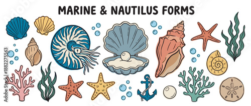 Colorful hand-drawn set of marine life illustrations featuring a nautilus, seashells, starfish, coral, seaweed, and an anchor in a charming and playful doodle cartoon style