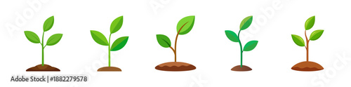 Young plant seedlings growing from soil, symbolizing new life and nature