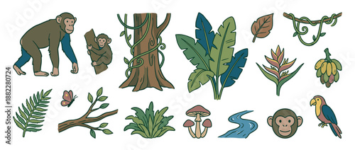 Set of hand-drawn jungle illustrations featuring a chimpanzee, monkey, parrot, butterfly, tree, banana leaves, and other tropical flora and fauna elements in a cute cartoon style