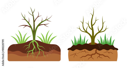 Two trees with exposed roots and grass showing soil layers