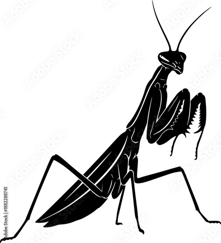 Praying Mantis Silhouette

