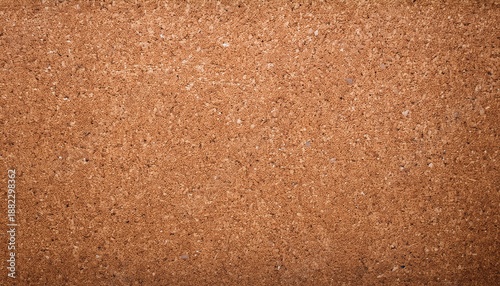 Empty Corkboard Background