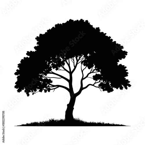 A black silhouette of a tree standing alone on a plain white background with grass at its base